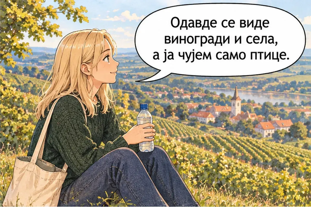 Кадр 6 из 16 к тексту «Ещё немного в гору, а потом всё под гору»: «Отсюда видны виноградники и деревни, а я слышу только птиц.»
